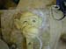 DSCN2151